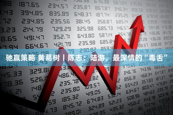 驰赢策略 黄葛树丨陈志：陆游，最深情的“毒舌”