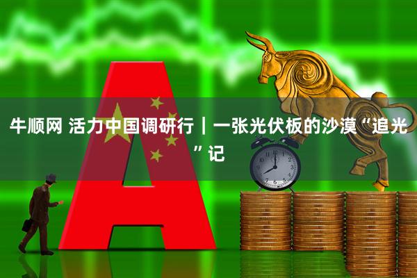 牛顺网 活力中国调研行｜一张光伏板的沙漠“追光”记