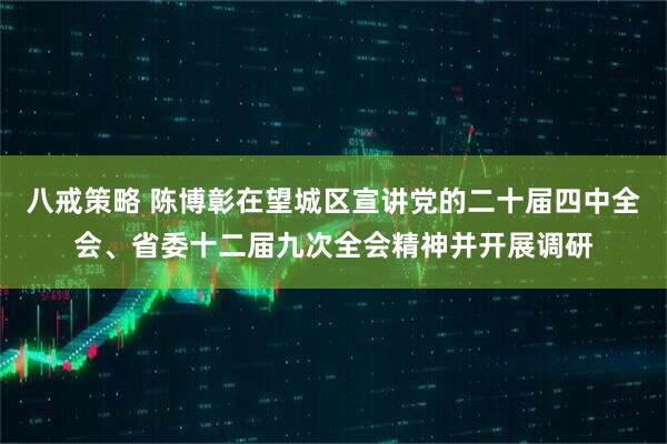八戒策略 陈博彰在望城区宣讲党的二十届四中全会、省委十二届九次全会精神并开展调研