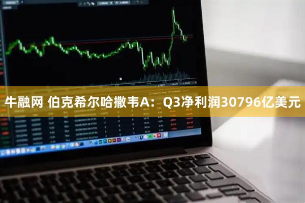 牛融网 伯克希尔哈撒韦A：Q3净利润30796亿美元
